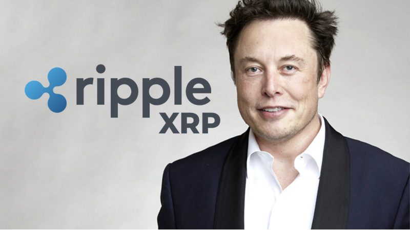 Elon Musk XRP